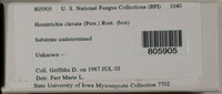 Image Associated With the Occurence